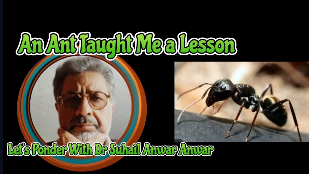 An ant taught me a lesson | take good deeds to grave | let's ponder |