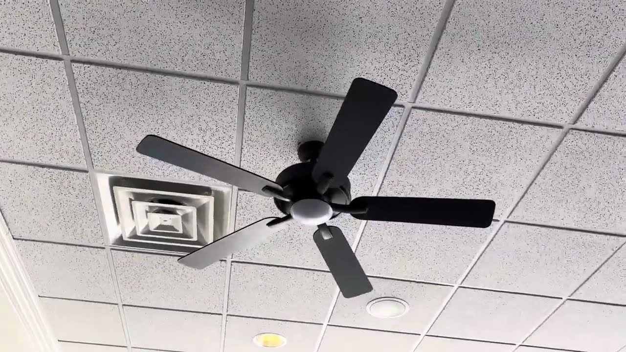 X5 Kichler Basics Pro Designer 52” Ceiling Fans at Le Peep