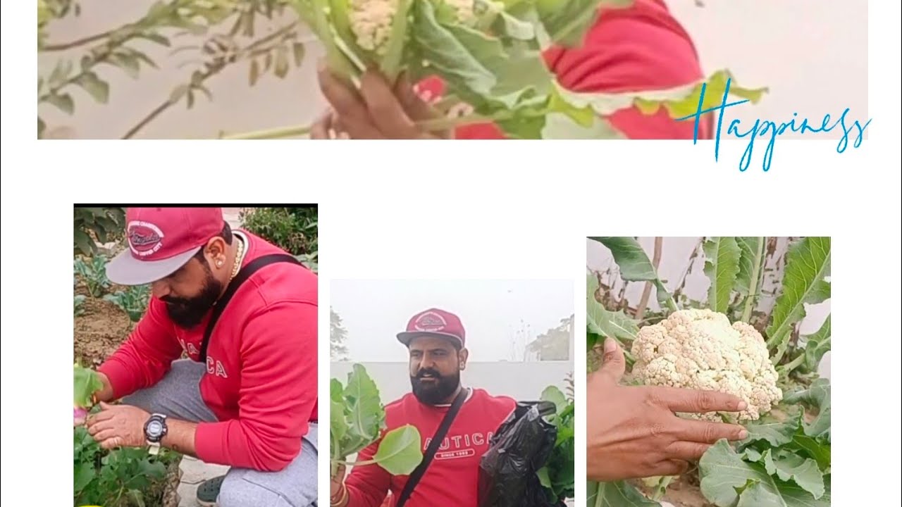 Garden se pyaar, family ke liye gift aur thandi raat ka bonfire 🔥🌱Winter vibes at their best 💚