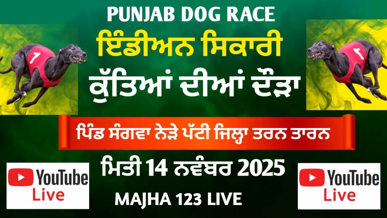 Live Sangwan (Tarn Taran) Dog Race || 14-11-2025 MAJHA 46 LIVE 7986243626