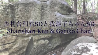 瑞牆ボルダー シャリシャリ君SD/ガリ子ちゃんSD  Sharishari Kun & Gariko Chan in Mizugaki Boulder