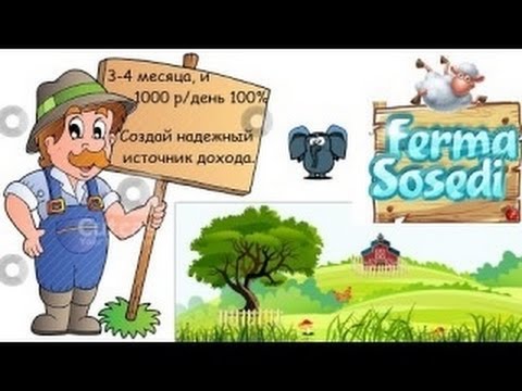 Ферма соседи Стратегии и фишки.