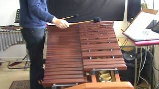 Overtones on marimba
