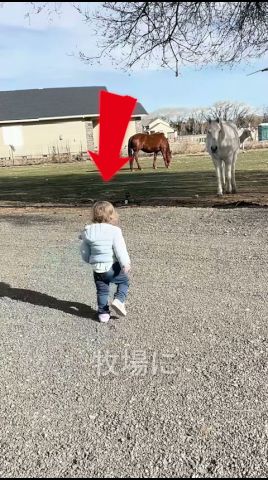 この女の子は馬と仲良くなりたかった🐎❤️#shorts#shorts