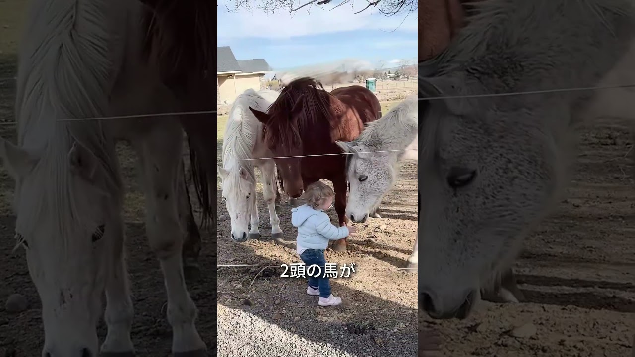 この女の子は馬と仲良くなりたかった🐎❤️#shorts#shorts