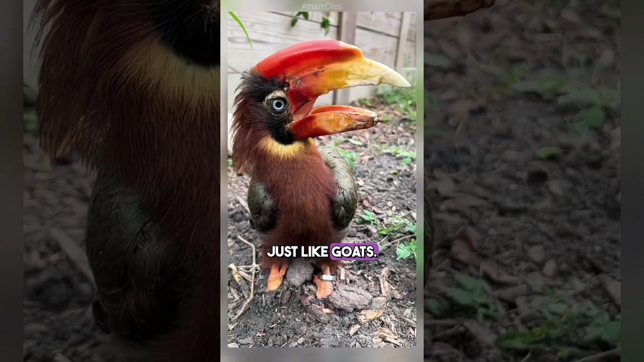 8 Fascinating Animal Facts That Will Expand Your Perception!