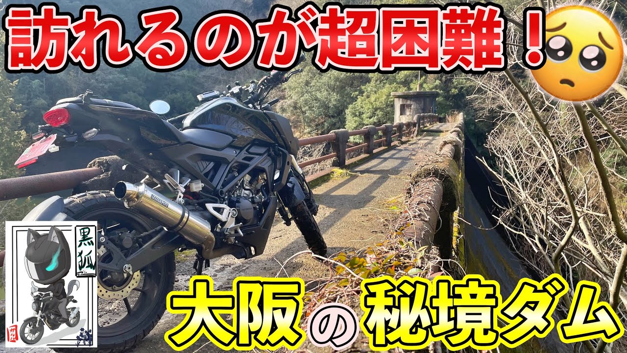 Very Dangerous] I drove along the narrowest forest road and