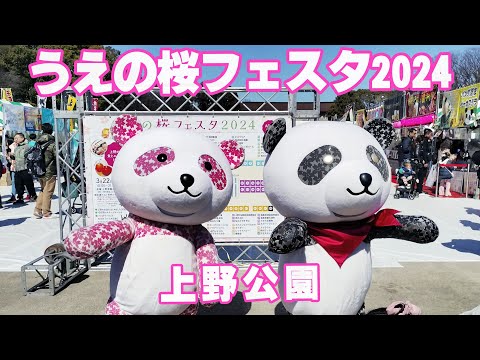 うえの桜フェスタ2024（上野公園）