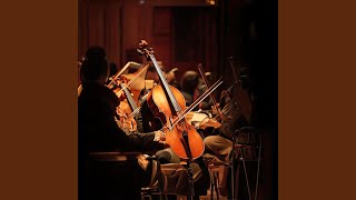 Orchestral Comfort Patterns