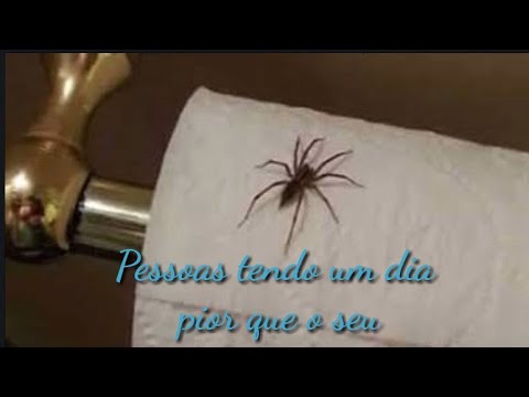 Pessoas tendo um dia pior que o seu… Ri muito