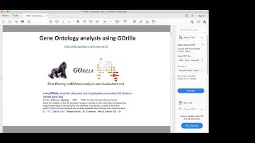 W5b: RNA-Seq II Analysis - Day 2