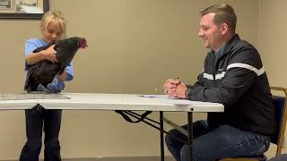 4-H Clover Kid Poultry Showmanship Standard Black Australorp