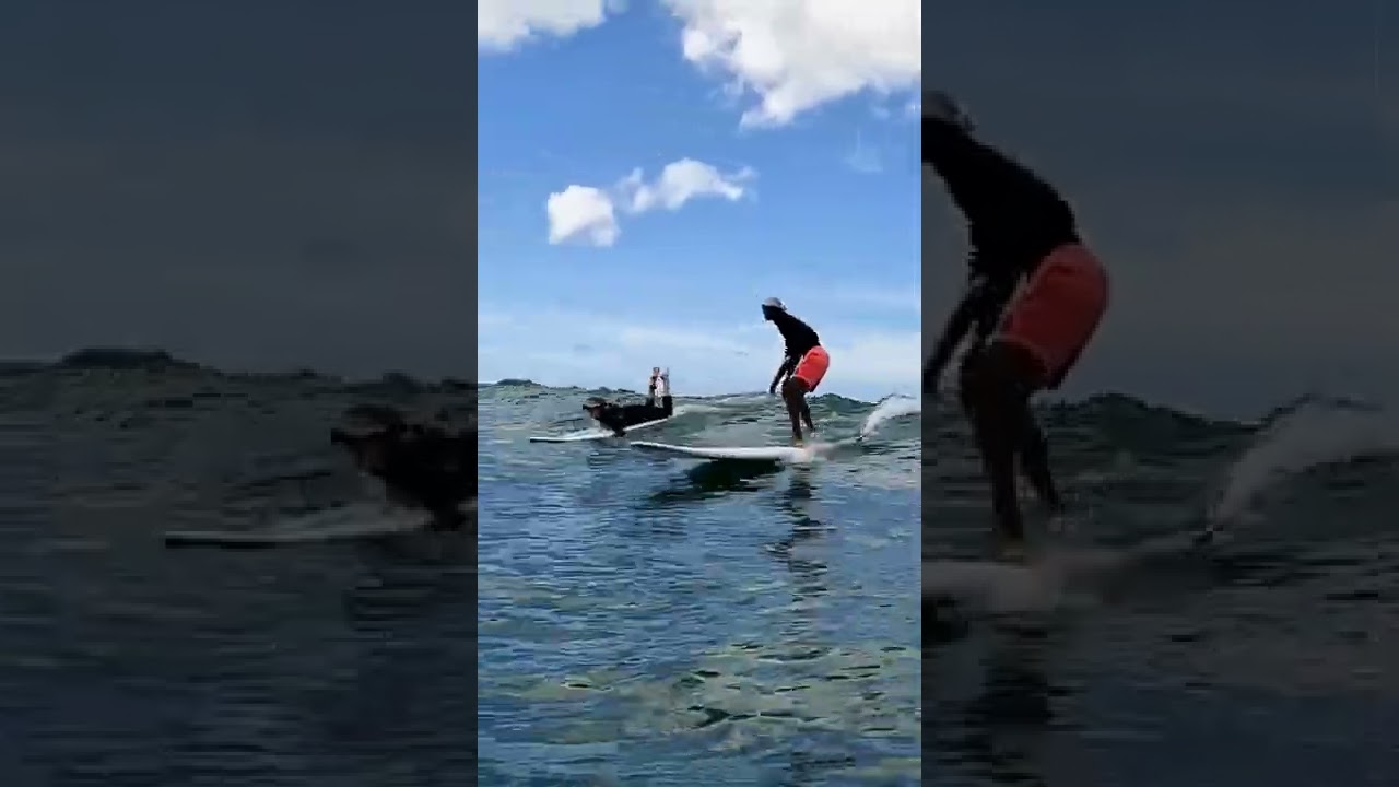 Surfing Waikiki Beach @Inside-Pops-Surfbreak | 6.21.2022