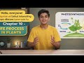 Class 7 chapter 10 life process in plant explanation of few points #kvs #class #thelearninghubkvs