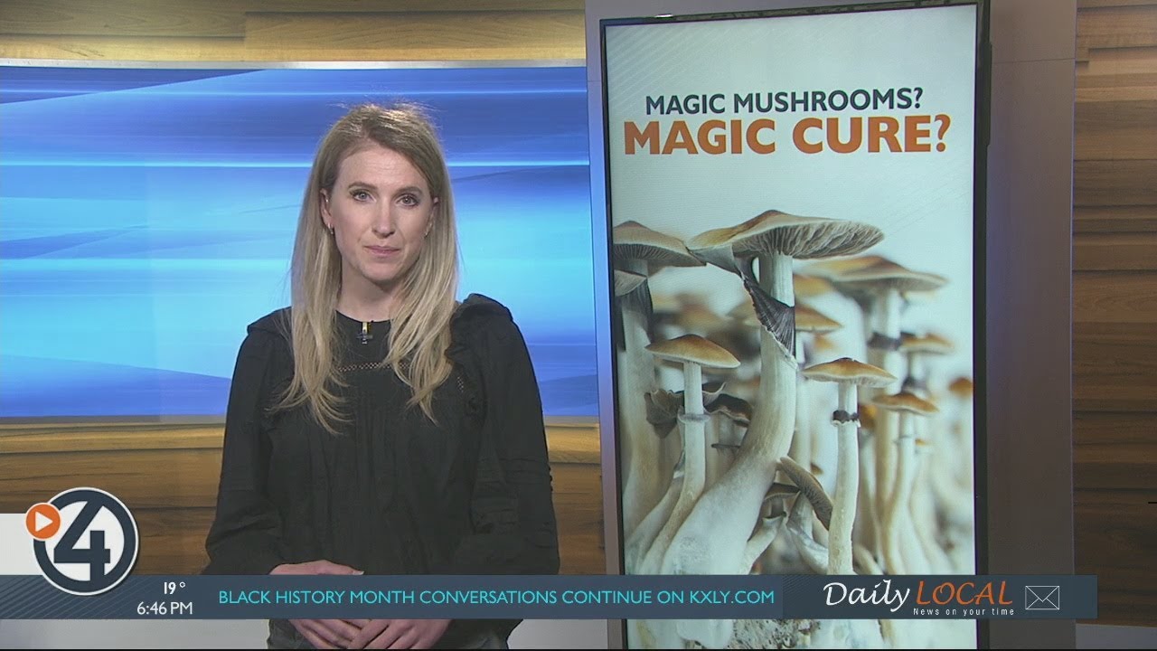 Should magic mushrooms be legal? Advocates say they are a life-changing treatment