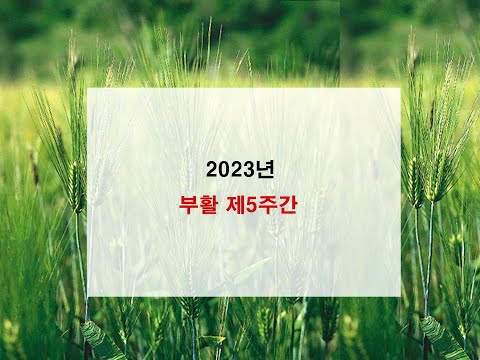 영상썸네일