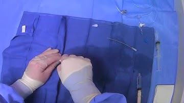 Using A Vascular Access Sheath (Percutaneous Sheath Introducer Set)