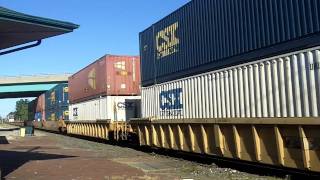 CSX 384 Leads Short Z-Train