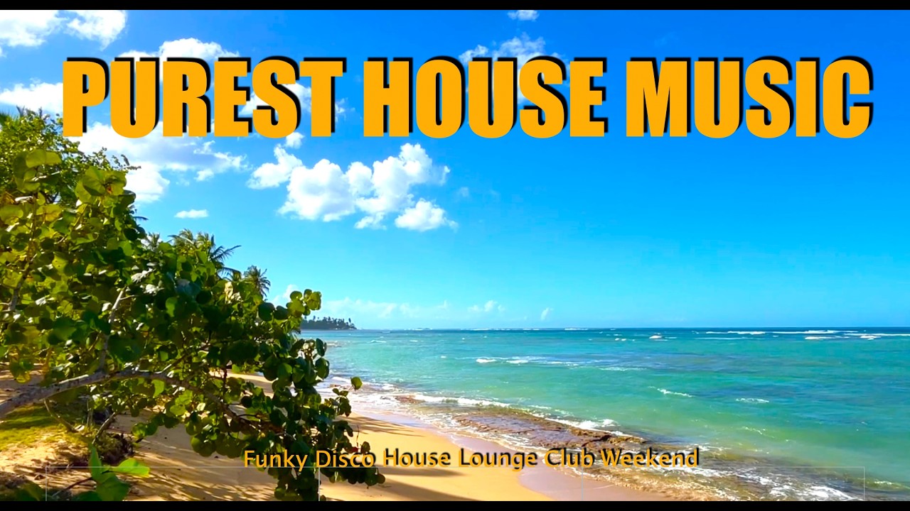 2 Hours Funky Groovy Disco House Music Mix I Funk Progressive House Remix 