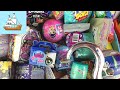 Blind bag ship 364 littlest pet shop disney squishmallow cutetitos cookieitos trolls mineez popmart