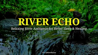 RIVER ECHO - Relaxing River Ambience for Better Sleep & Healing
