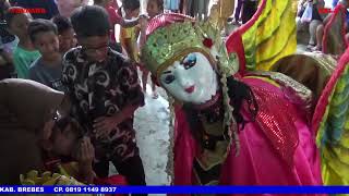 Download Lagu BALI TERSENYUM || TARI BUROK || PANDAWA NADA || LIVE LEBAKSIU - SLAWI MP3 Download Lagu BALI TERSENYUM || TARI BUROK || PANDAWA NADA || LIVE LEBAKSIU - SLAWI MP3