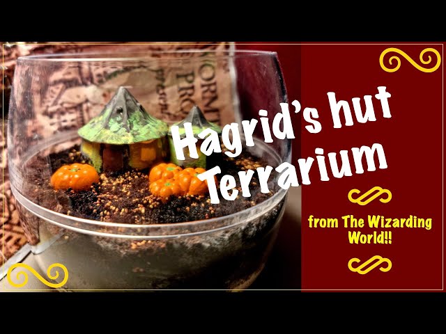 Harry Potter Terrarium - DIY 