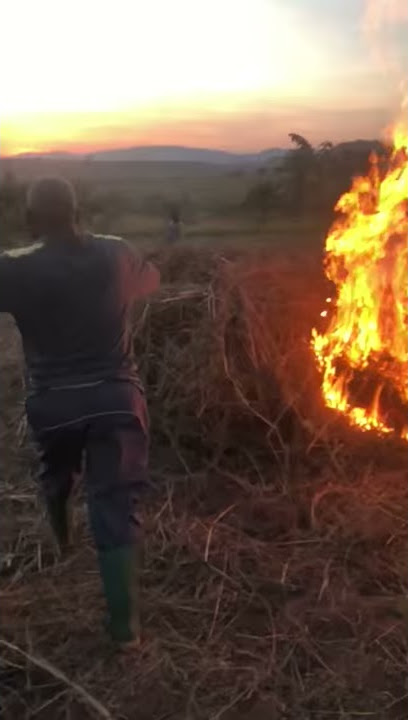 ASKOFU MKUU MSIDIZI WA MAKANISA UFUFUO NA UZIMA DUNIANI NA NIASKOFU WA JIMBO LA KIGOMA akichoma mstu