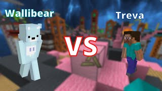 Wallibear gets DESTROYED in bedwars... again!