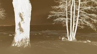 Brudywr - Melancholia