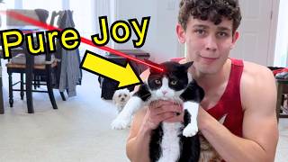 Bullying My Cat With A Laser Pointer
