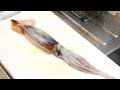 魚よりは簡単、烏賊の捌き方　　How to cut a squid/cuttlefish