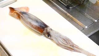 魚よりは簡単、烏賊の捌き方　　How to cut a squid/cuttlefish