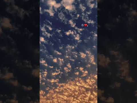الشوق بيزيد
