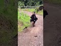 Bird Doesn't Like Hiking Guide 😂