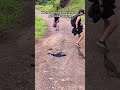 Bird Doesn't Like Hiking Guide 😂