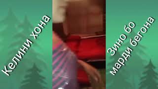 Бул жене Зино кылып уялбай турат