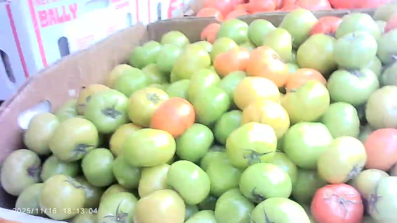 MOVI0003 Спадайна-авеню, Чайнатаун