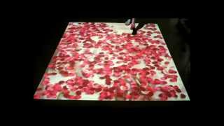 Interactive Floor Petals Effects.wmv