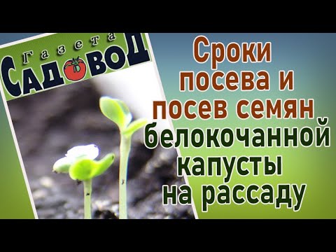 Сроки посева и