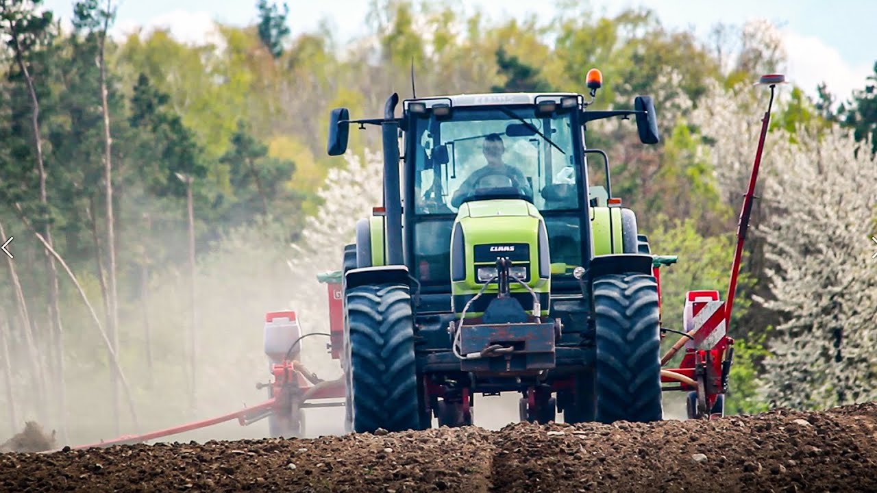 ☆ Siew kukurydzy 2021 ☆ Claas Ares 816 RZ & Maschio-Gaspardo ☆