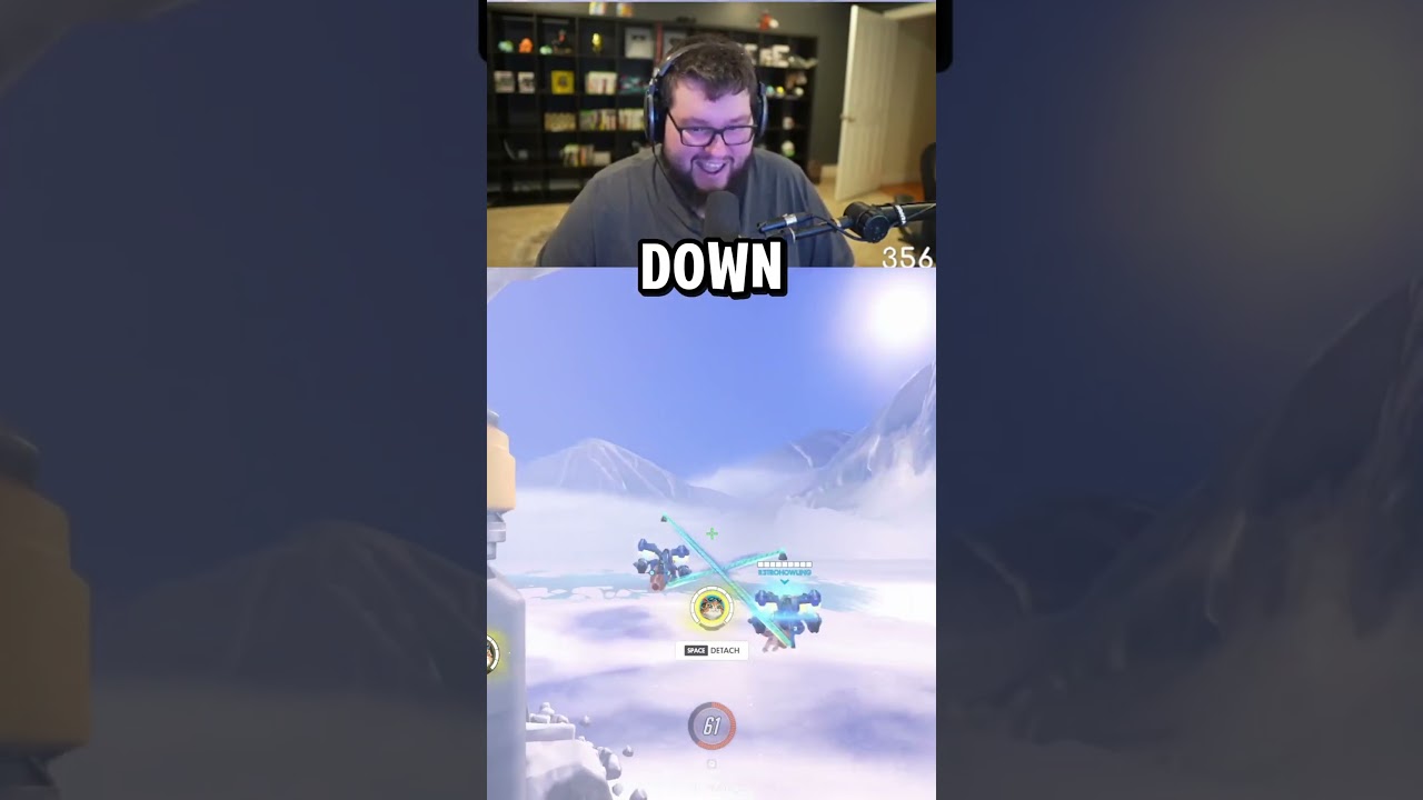 2 кошки с реактивными ранцами прикреплены 