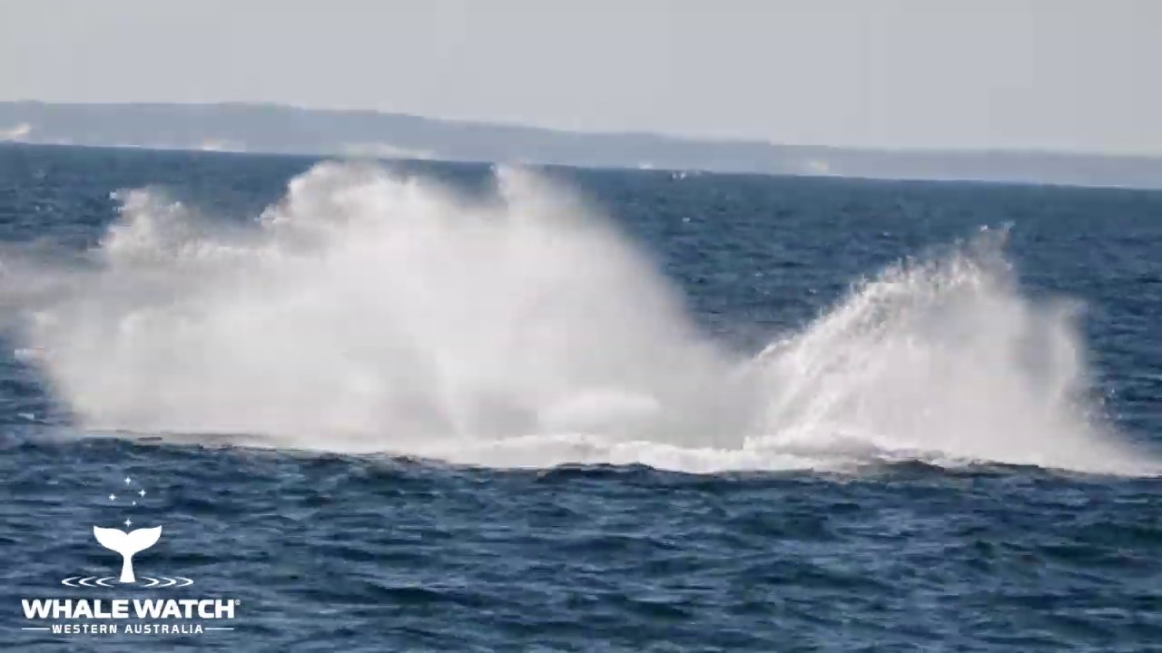 Perfect Day in Flinders Bay