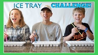 Ice Tray Challenge Surprise Challenge Flippin Katie