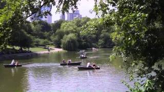 New York - Jour 3 - Central Park et Harlem