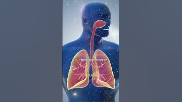 Rewire Your Brain FAST with These 3 Techniques!