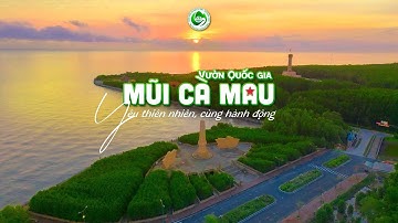 Vườn Quốc Gia Mũi Cà Mau – Di Sản Xanh Trên Bản Đồ Đất Việt