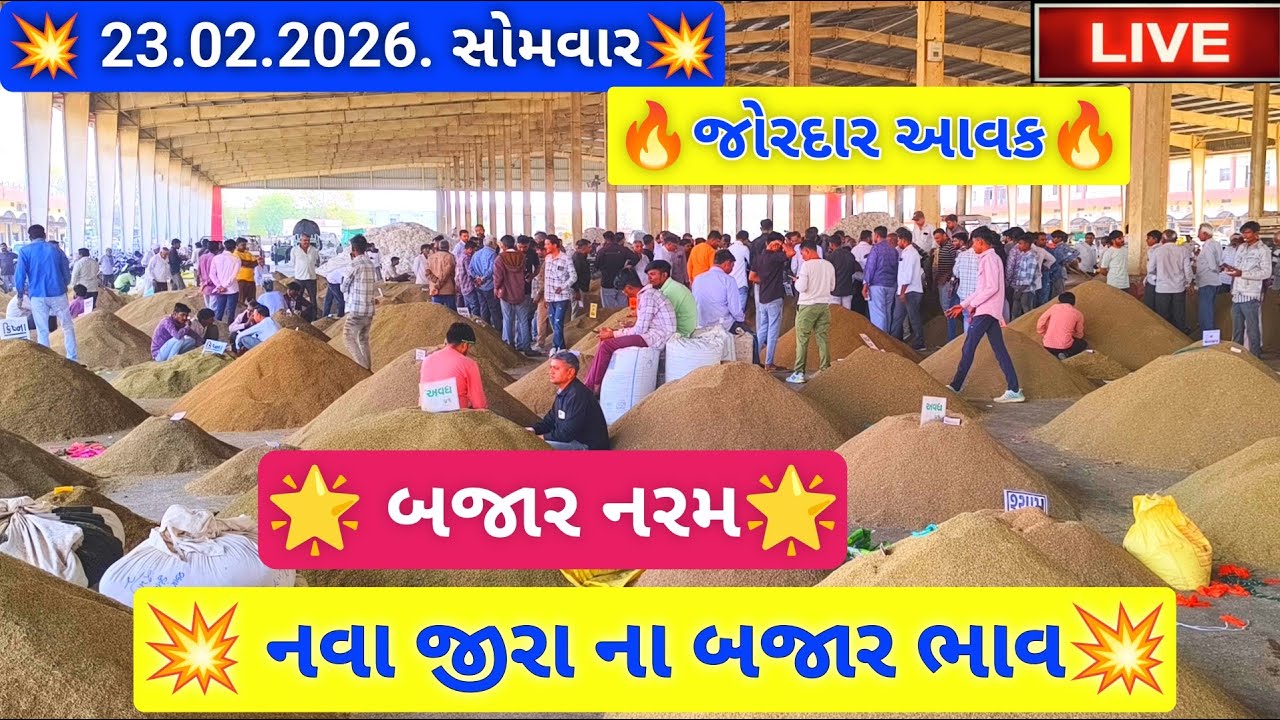 🔴live નવા જીરા ના બજાર ભાવ આજના જસદણ માર્કેટિંગ યાર્ડ, new cumin auction price,February 23, 2026