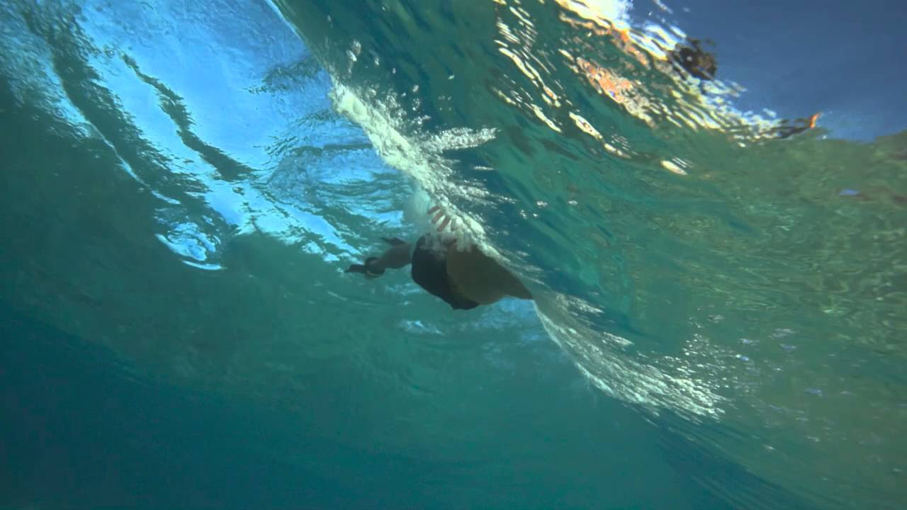 Vissla made for DaFiN