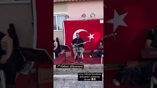 Halime Aldanmayın I